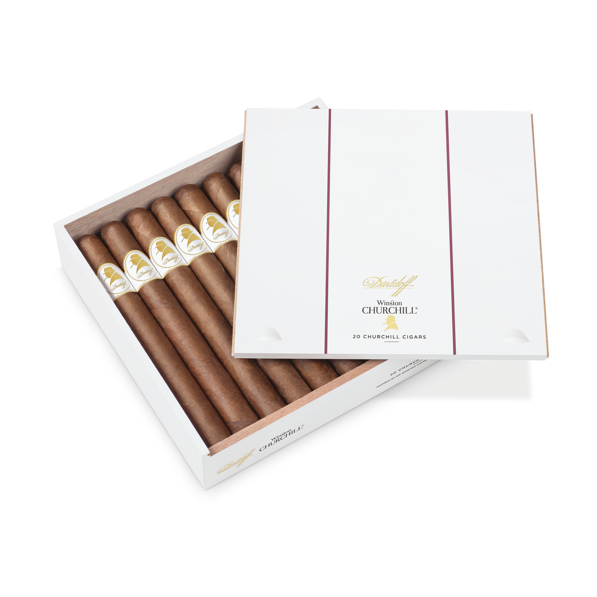 Winston Churchill Churchill Aristocrat