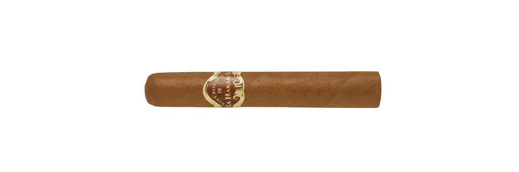 A.E.マルティ☆『La Cendre de la Cigarette』 San Cristobal El Principe – Davidoff London