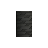 S.T. Dupont Ligne 2 Monogram Black Lighter
