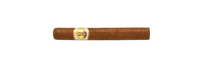 Bolivar Petit Coronas