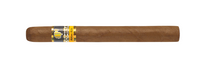 Cohiba Siglo V